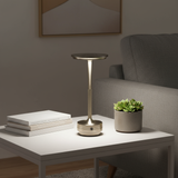 Small gold lamp on a white table with books and a plant, against a gray wall.