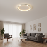 Modern living room with a ceiling light fixture, gray sofa, and decorative elements.