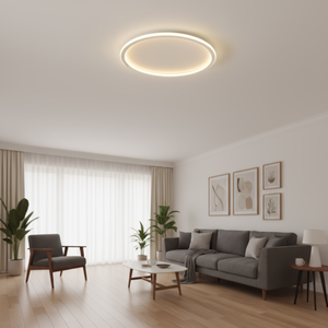 Modern living room with a ceiling light fixture, gray sofa, and decorative elements.