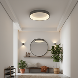 Modern interior design with ceiling light, mirror, and plants