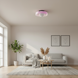 Modern living room with a gray sofa, coffee table, and decorative items.