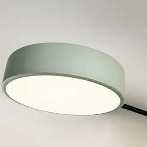 Ceiling light fixture with a greenish-gray shade on a plain background