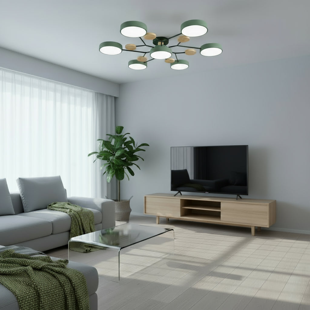 Modern living room with a ceiling light fixture, TV, and decor elements.