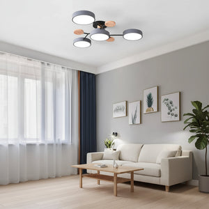 Modern living room with a ceiling light fixture, sofa, coffee table, and decorative plants.